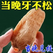 牙齿晃动b102周扎根牙龈委专牙齿松动出血肿痛固齿牙%缩用牙