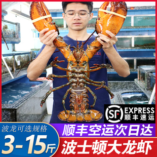波士顿龙虾新鲜生冻超特大3-15斤海鲜冷冻澳洲加拿大龙虾