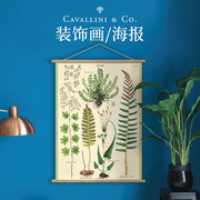 美国cavallini现代装饰画海报美式复古植物墙面装饰（含挂轴）