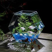 美人鱼缸斗鱼缸大号玻璃鱼缸高透亮桌面鱼缸办公室创意金鱼缸花瓶