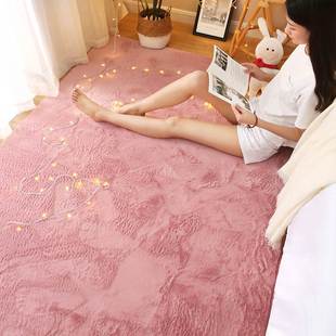 仿兔毛地毯卧室满铺可爱房间床边毯纯色网红少女毛绒客厅地垫家用