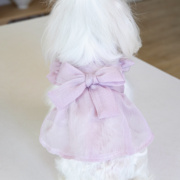 宠物衣服可爱娃娃领衬衫裙轻薄透气宠物飞袖夏季小裙子泰迪比熊猫