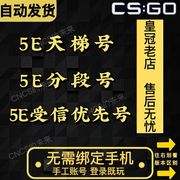 5ecsgo账号5e受信优先号csgo5e账户，低分号小号白号5e分数号天梯号