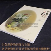 大色彩之形神兼备 主题教学系列丛书 色彩静物组合作品分类讲解美术绘画步骤解析专业学生生临摹学习范本书籍