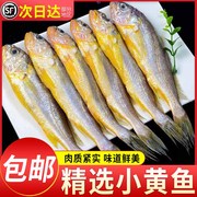 小黄花鱼新鲜冷冻5斤烧烤小黄鱼青岛生鲜活海鱼海鲜整箱商用