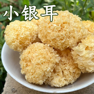 小银耳小雪耳干货不熏硫 软糯古田新鲜白木耳100g 非通江椴木野生