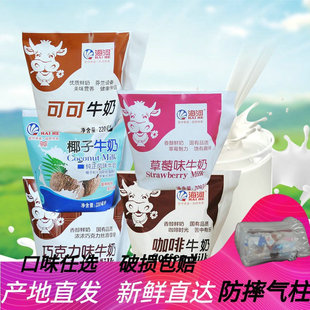 天津海河牛奶可可巧克力，草莓咖啡麦香椰子混合网红早餐可备注味