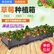 家庭蔬菜花箱户外种菜盆，阳台塑料花盆植物草莓，种植箱蔬菜种植盆大