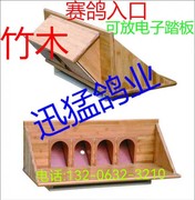 竹木赛鸽入口跳口木质进门器，可放电子踏板跳笼信鸽用品用具