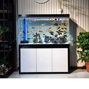 中大型鱼缸水族箱，客厅家用超白玻璃，生态下过滤鱼缸