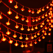 2024新年彩灯闪灯串灯满天星小红灯笼家用过年装饰灯春节布置