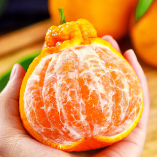 四川不知火丑橘橘子，新鲜桔子时令水果柑橘