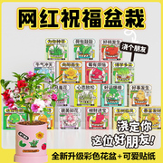 办公室创意植物盆栽儿童凤仙花种籽子套装向日葵种植个性diy套组