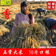 门稻正宗五常大米稻花香2号大米50斤东北黑龙江大米2023新米