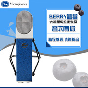 BLUEBLUEBERRY 蓝莓电脑麦克风电容麦K歌yy聊天话筒