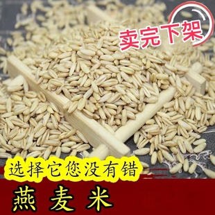 新燕麦米2斤农家燕麦仁燕麦粒 野麦 脱壳燕麦 煮粥五谷杂粮
