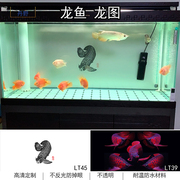 鱼缸背景贴纸高清图3d画水族箱背景纸红龙金龙缸壁纸观赏鱼造景图