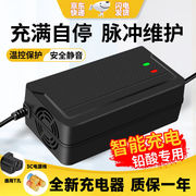 天南兄弟电动车电瓶，充电器蓄电池修复器48v60v72v通用自动停止三