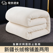 新疆棉花被褥子床垫软垫铺底床褥垫棉絮垫背被子垫被冬季加厚棉睡