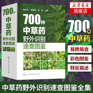 700种中草药野外识别速查图鉴 岳桂华 中草药大全药剂学中医草药书籍识别图全集 野生及栽培药用植物大全书籍新华书店正版书籍