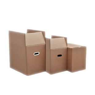 跃励工品包装纸箱子特大号特硬物流打包收纳整理箱瓦楞纸箱10050