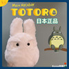 日本 千与千寻Totoro宫崎骏小白龙猫公仔 小龙猫玩偶娃娃玩具