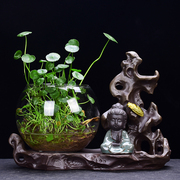 绿萝水培容器玻璃透明花瓶创意桌面装饰小摆件插花铜钱草花盆器皿