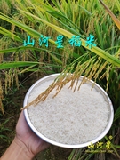 闽三明清流高地宁化贡米长粒籼米5斤香米，香稻非东北五常大米