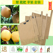 梨子枇杷套袋苹果桃子，芒果石榴猕猴桃水果套袋，防雨防水防虫鸟纸袋