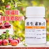 维福佳维生素B2片100片药用OTC口角炎舌炎结膜炎脂溢性皮炎