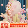 兔宝宝满月宴布置KT板场景装饰气球男女婴儿仪式感氛围背景墙30天