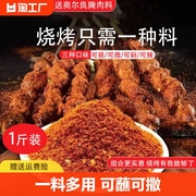 孜然粉烧烤调料烤肉调味撒料家用蘸料腌料椒盐套装组合羊肉串五香