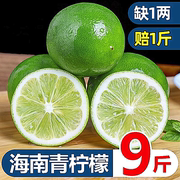 海南青柠檬9斤新鲜水果当季现摘皮薄多汁一级小青柠金桔香水柠檬