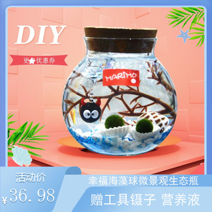marimo幸福海藻球微景观生态，瓶水培迷你小植物，创意diy礼物玻璃瓶