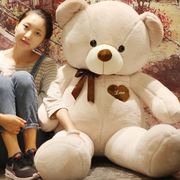 厂价泰迪毛绒玩具大号公仔1.6米抱抱熊抱枕女生生日礼物