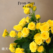 来自火星多头玫瑰鲜花花束 鲜切花直发上海花店送花教师节花