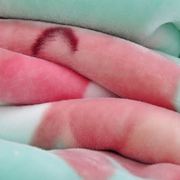 新生婴儿毛毯双层加厚冬季儿童小被子，幼儿园午睡盖毯宝宝云毯礼盒