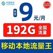 移动流量卡纯流量上网卡移动卡5g手机电话卡通用广东山东