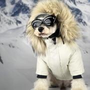 狗狗羽绒服秋冬装加厚保暖狗狗衣服雪纳瑞泰迪比熊毛领羽绒服