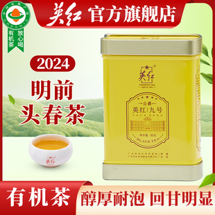 2024明前春茶特级正宗英德红茶英红九号50g罐装有机红茶