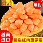 越南红肉菠萝蜜新鲜水果当季一整个红肉波罗菠萝蜜整箱特产