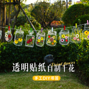 透明贴纸自制干花书签diy材料包植物标本塑封膜玻璃瓶树叶粘贴画