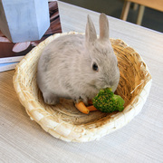 兔子窝箱a窝用品兔兔用品全套，躲避屋窝垫垂耳兔产箱薄膜产仔草防