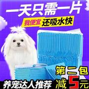 宠物尿垫狗狗尿片100片宠物，用品泰迪加厚除臭吸水尿布尿不湿