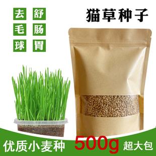 猫草种子一斤装一袋牛皮纸，小麦无土水培，种植化毛去毛球助消化草籽