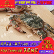 天津花盖螃蟹鲜活海虹海蟹梭子蟹海鲜水产大闸蟹皮皮虾海虾