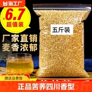 黄苦荞(黄苦荞)茶四川大凉山荞麦茶麦香型，500g批黑苦荞茶可配大麦茶