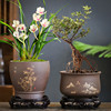 中国风紫砂兰花盆创意简约盆栽，室内文竹君子兰蝴蝶兰陶瓷盆带托盘