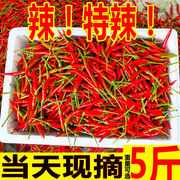 现摘小米椒辣椒，当季新鲜朝天椒红辣椒，特辣可剁椒泡椒蔬菜5斤
