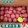 云南红皮黄心土豆10斤新鲜小土豆农家蔬菜洋芋自种马铃薯